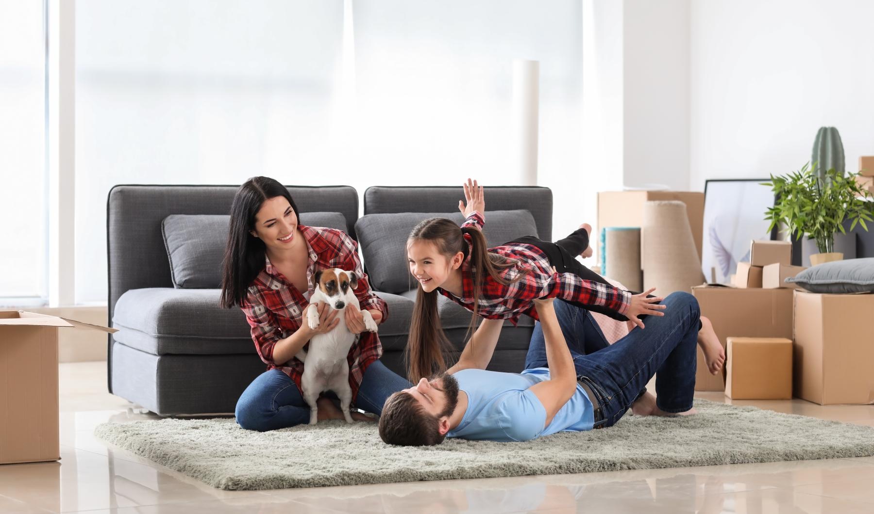 family plays on living room carpet with dog